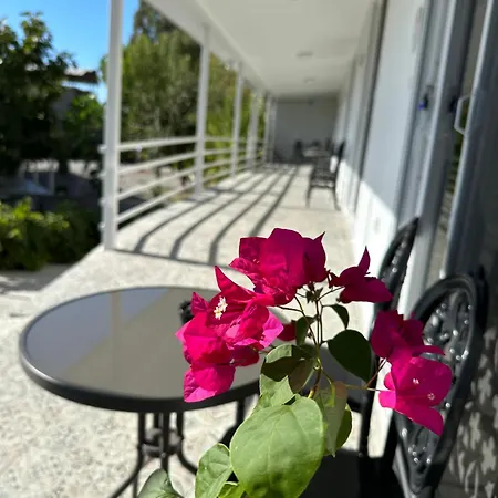 Homestay Airport Blue Eye House Ideal For Air Travellers 5 Km From Airport *